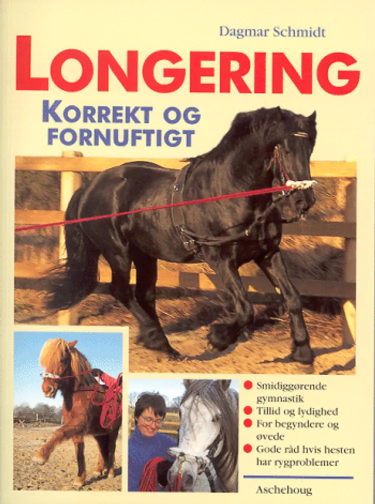 Longering af Dagmar Schmidt