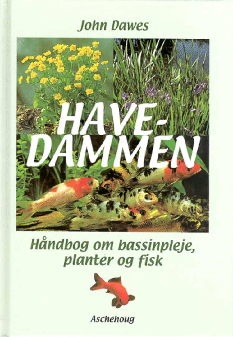 Havedammen af John Dawes