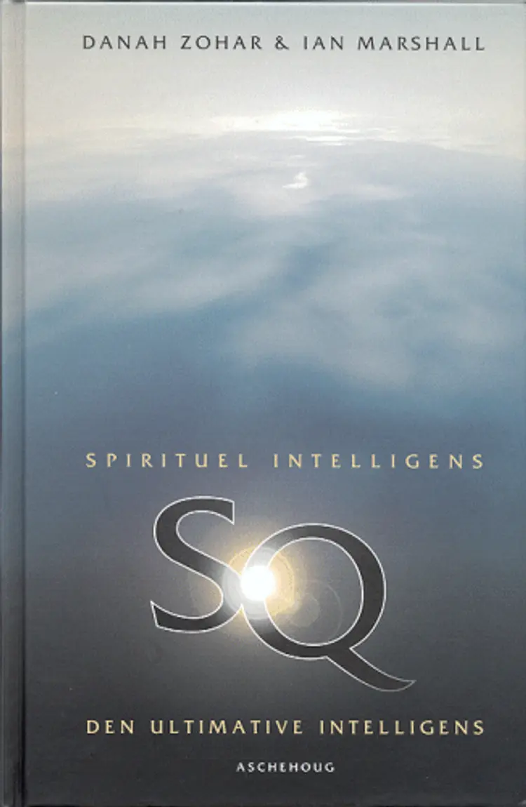 Spirituel intelligens af Danah Zohar