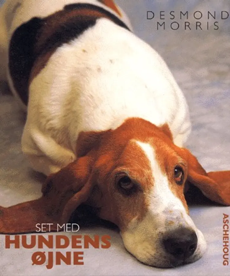 Set med hundens øjne af Desmond Morris
