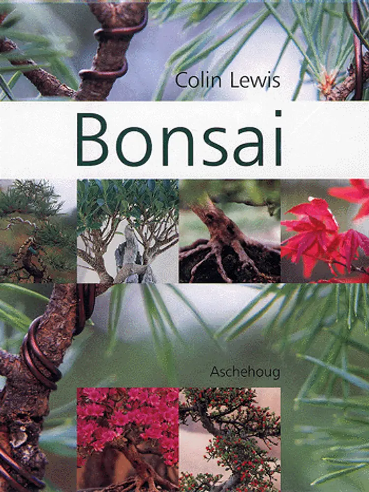 Bonsai af Colin Lewis