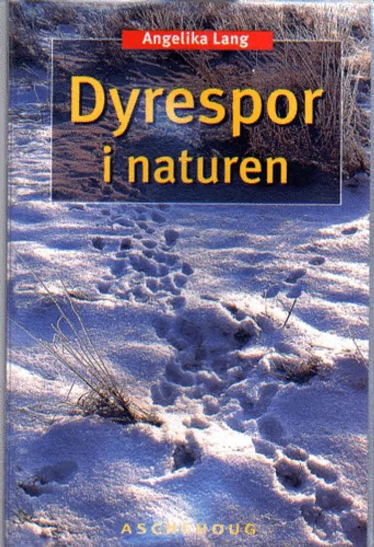 Dyrespor i naturen af Angelika Lang