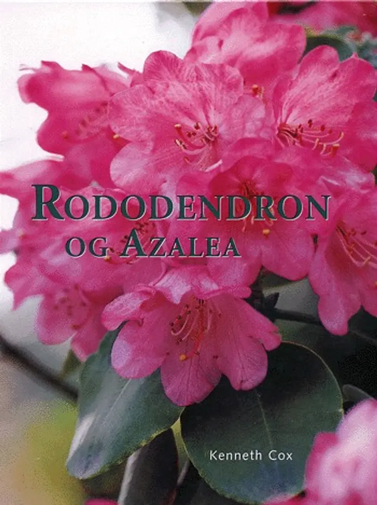 Rododendron og azalea af Kenneth Cox