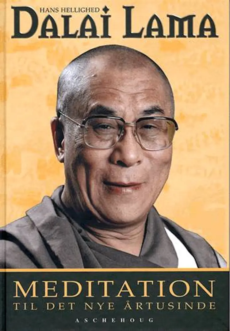 Meditation til det nye årtusinde af Dalai Bstan-'dzin-rgya-mtsho