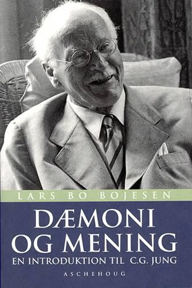 Dæmoni og mening af Lars Bo Bojesen