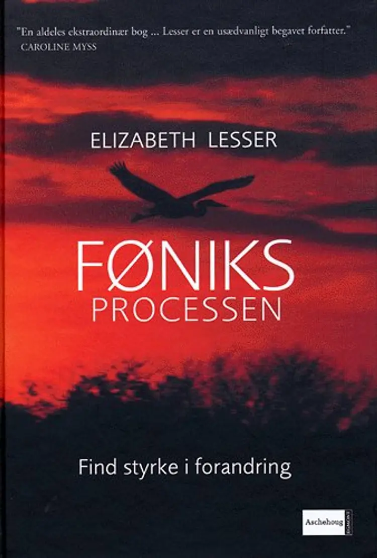 Føniksprocessen af Elizabeth Lesser