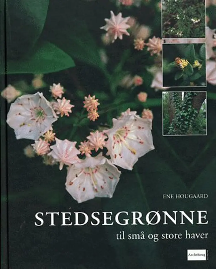 Stedsegrønne til små og store haver af Ene Hougaard