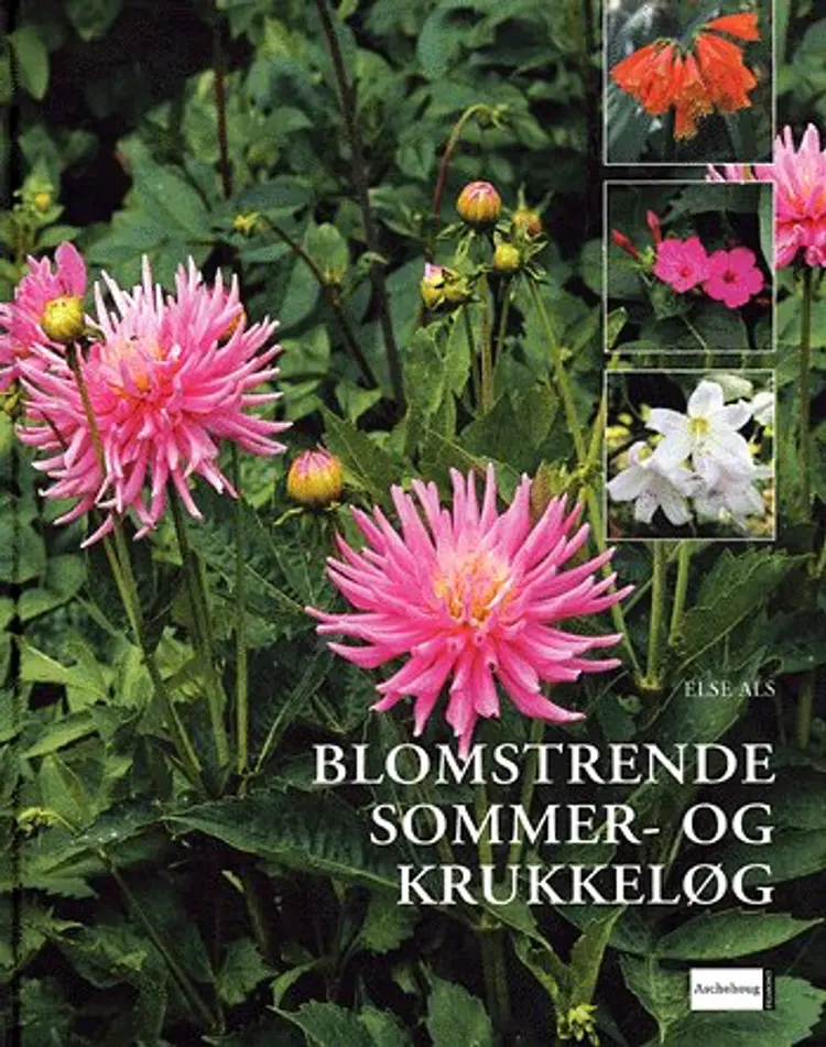 Blomstrende sommer- og krukkeløg af Else Als