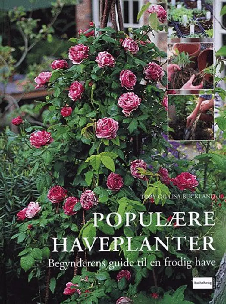 Populære haveplanter af Lisa Buckland