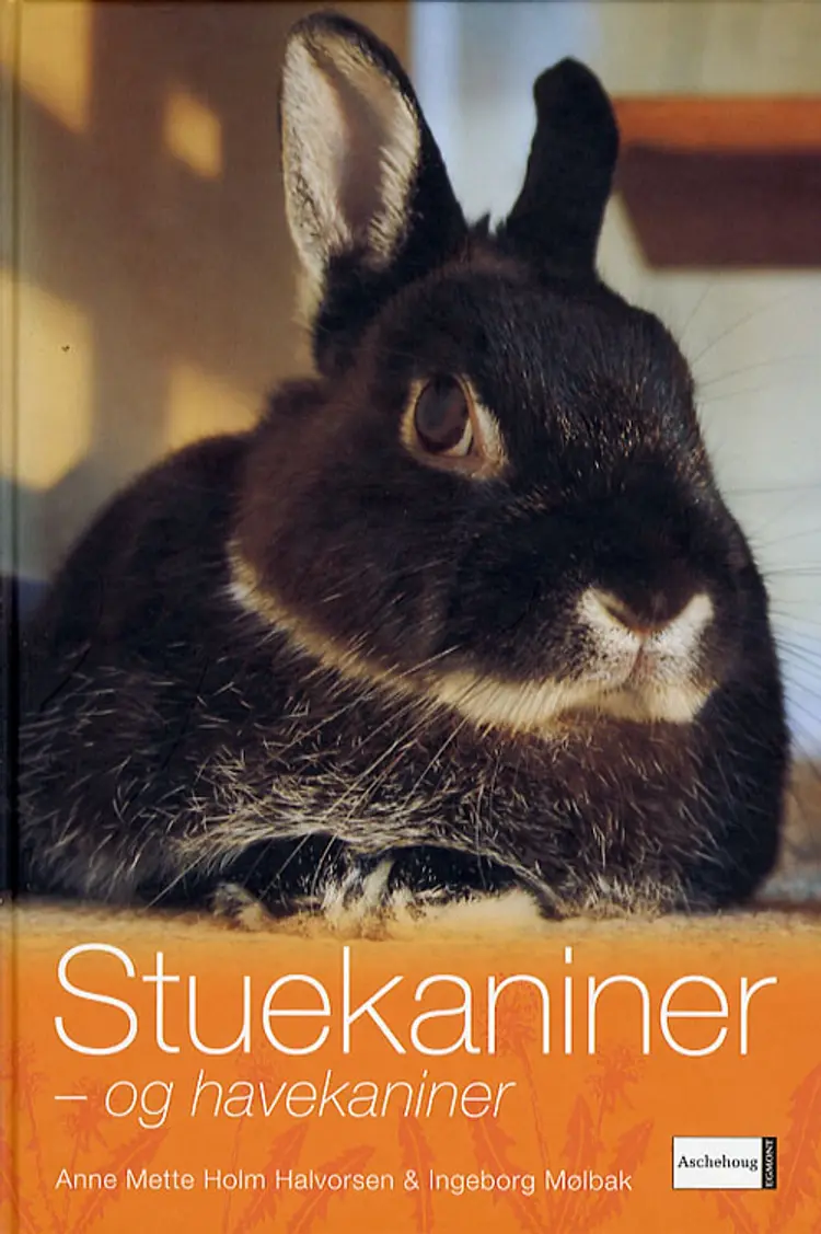 Stuekaniner - og havekaniner af Ingeborg Mølbak