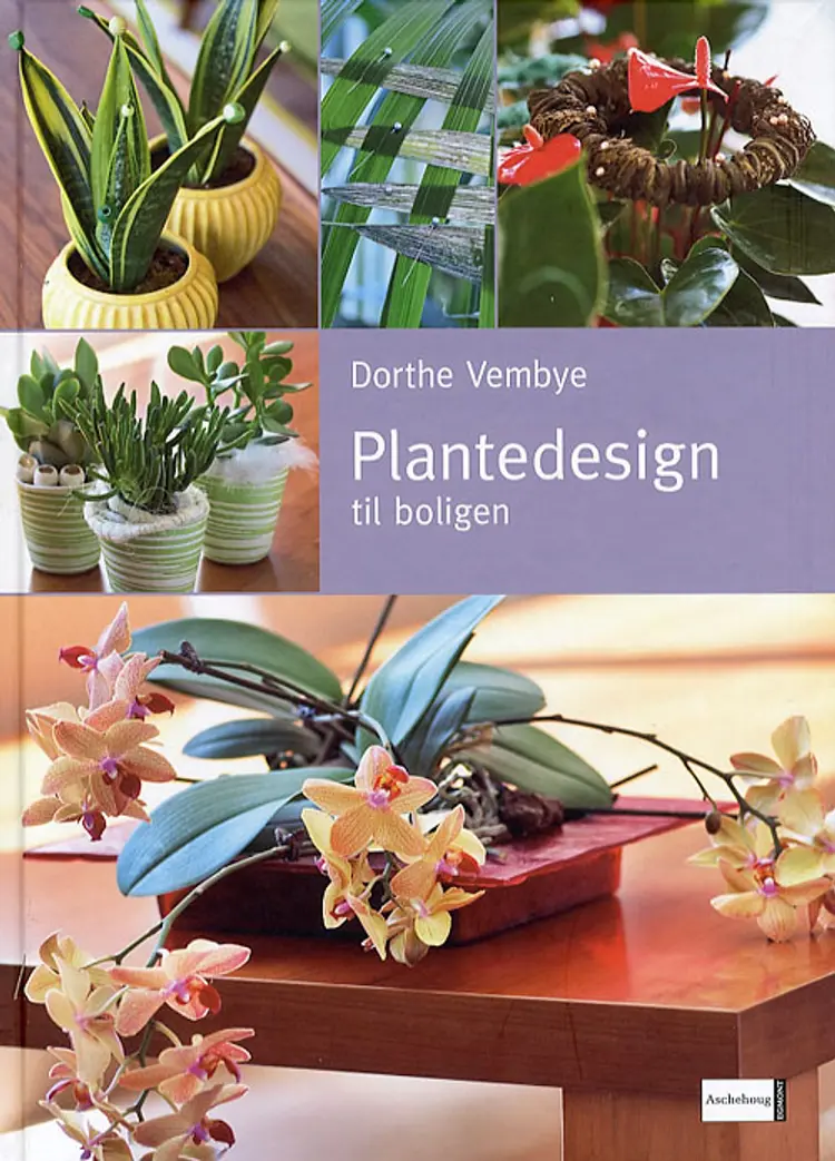 Plantedesign til boligen af Dorthe Vembye
