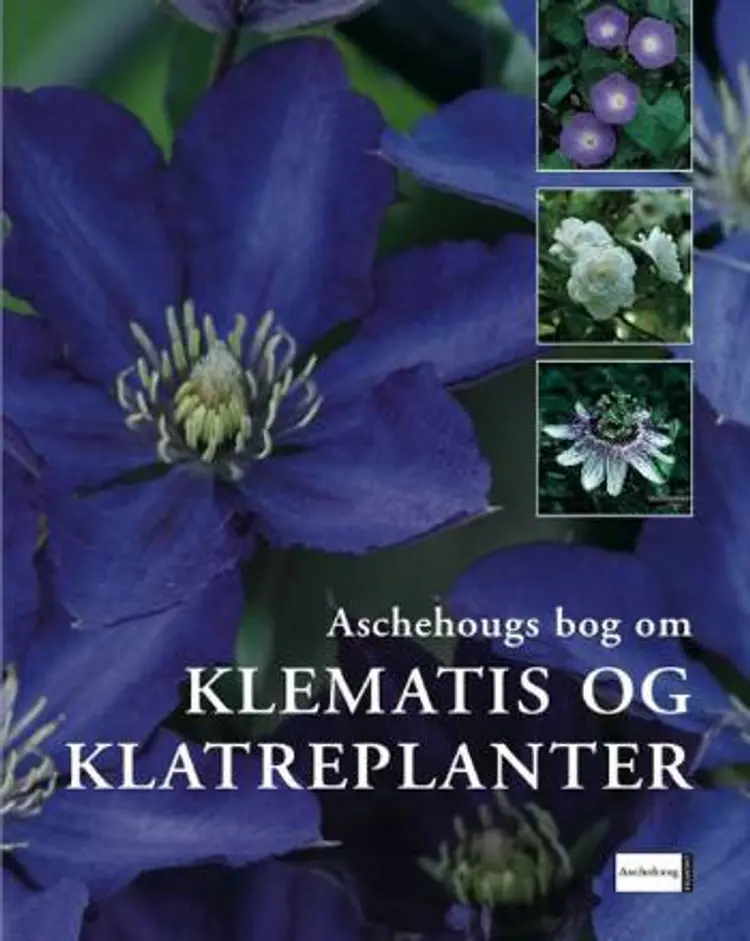 Aschehougs bog om klematis og klatreplanter