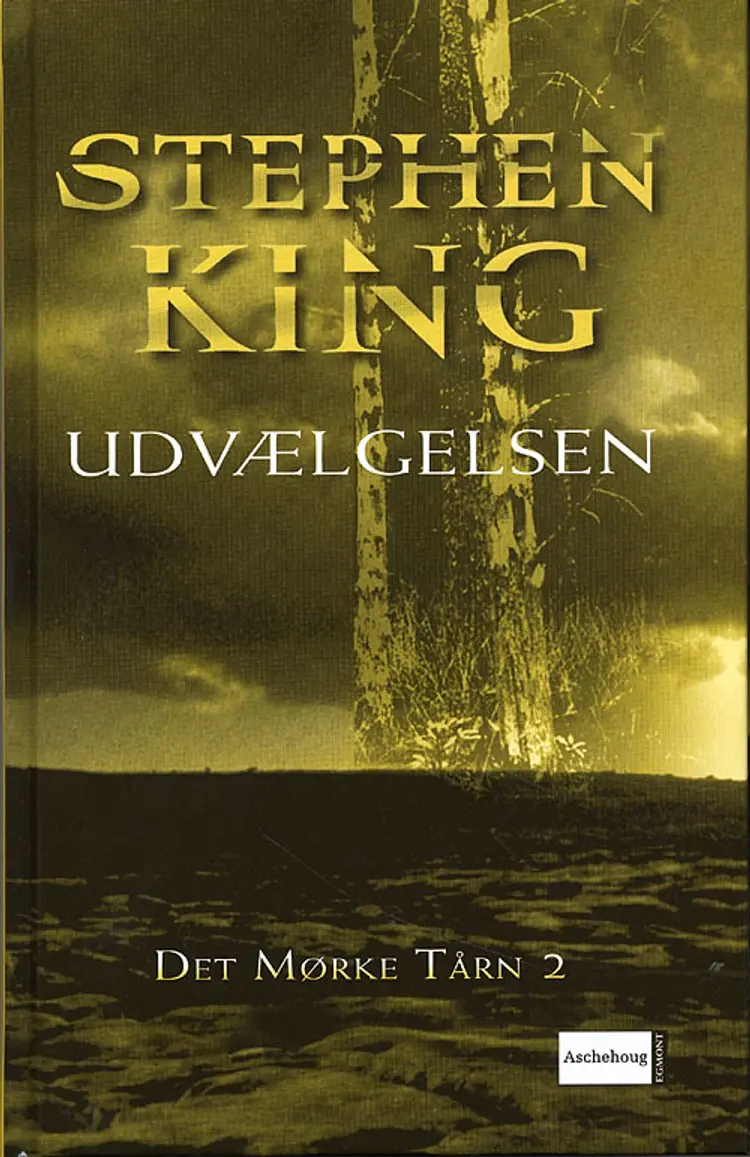 Udvælgelsen af Stephen King