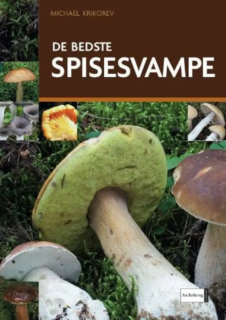 De bedste spisesvampe af Michael Krikorev