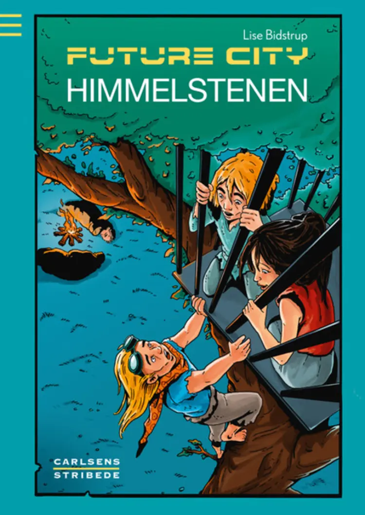 Himmelstenen af Lise Bidstrup