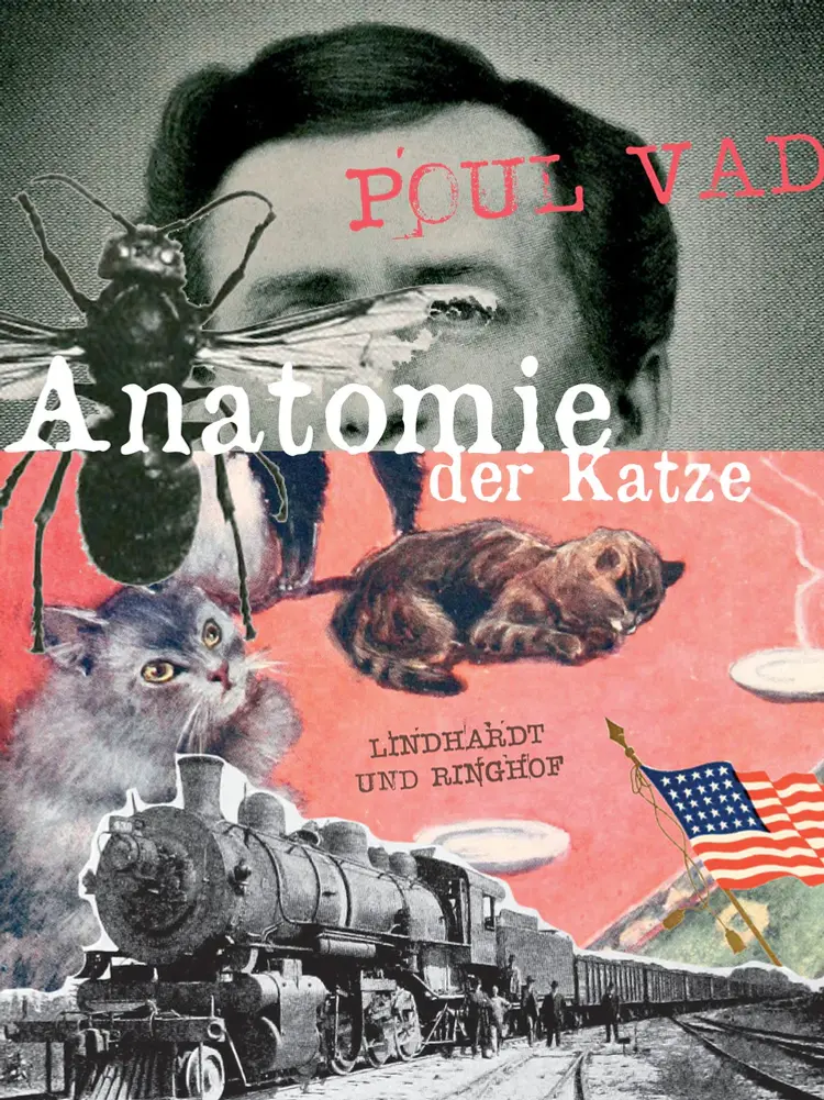 Anatomie der Katze af Poul Vad