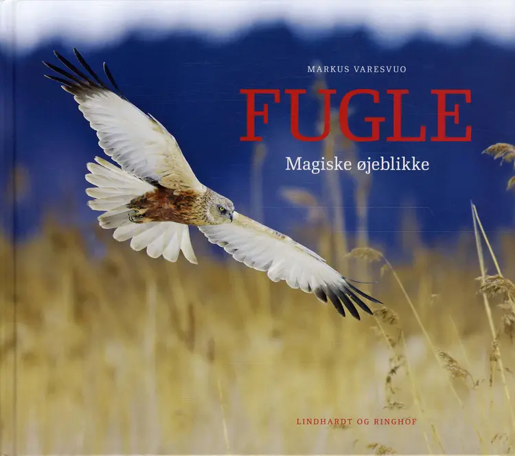 Fugle - magiske øjeblikke af Markus Varesvuo