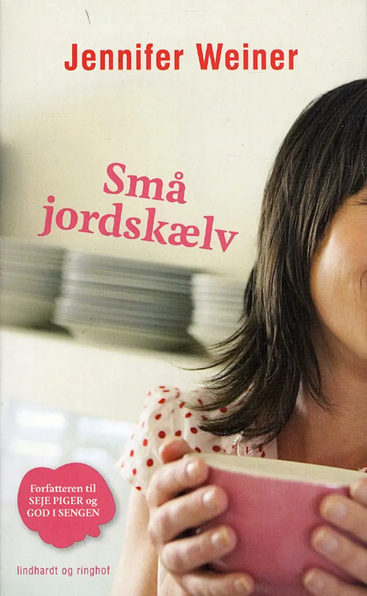 Små jordskælv af Jennifer Weiner