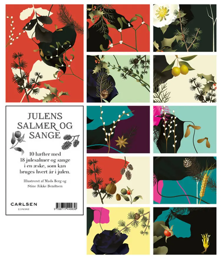 Julens salmer og sange af Mads Berg