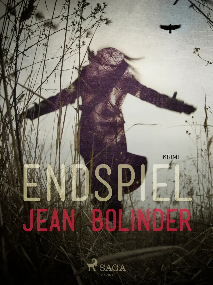 Endspiel af Jean Bolinder