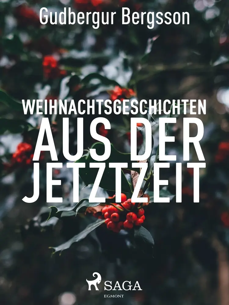 Weihnachtsgeschichten aus der Jetztzeit af Gudbergur Bergsson