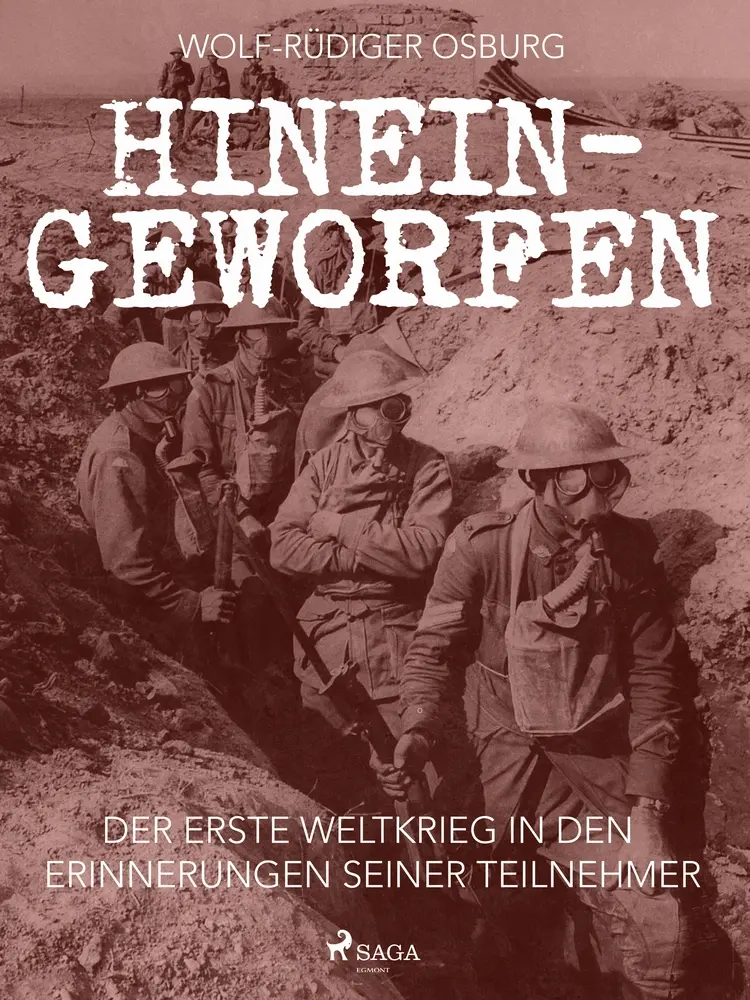 Hineingeworfen: Der Erste Weltkrieg in den Erinnerungen seiner Teilnehmer af Wolf-Rüdiger Osburg