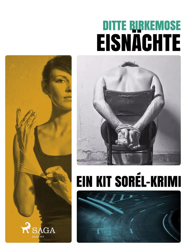 Eisnächte af Ditte Birkemose