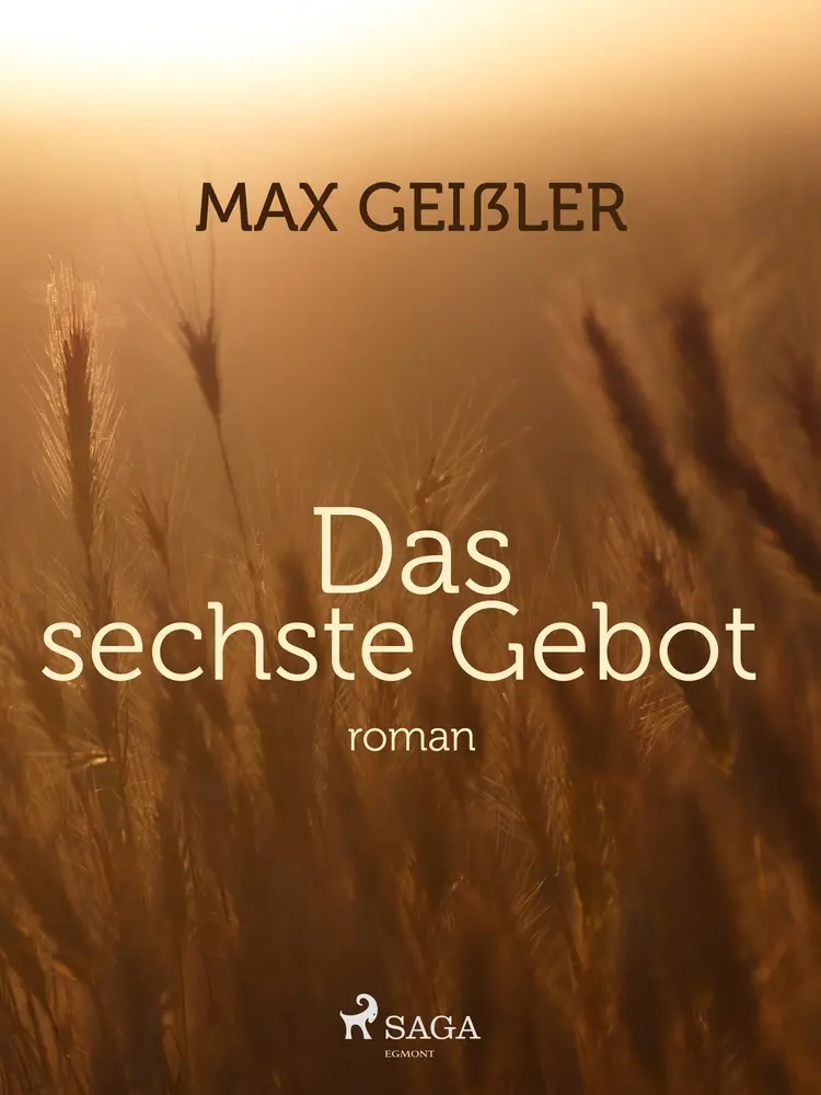 Das sechste Gebot af Max Geißler