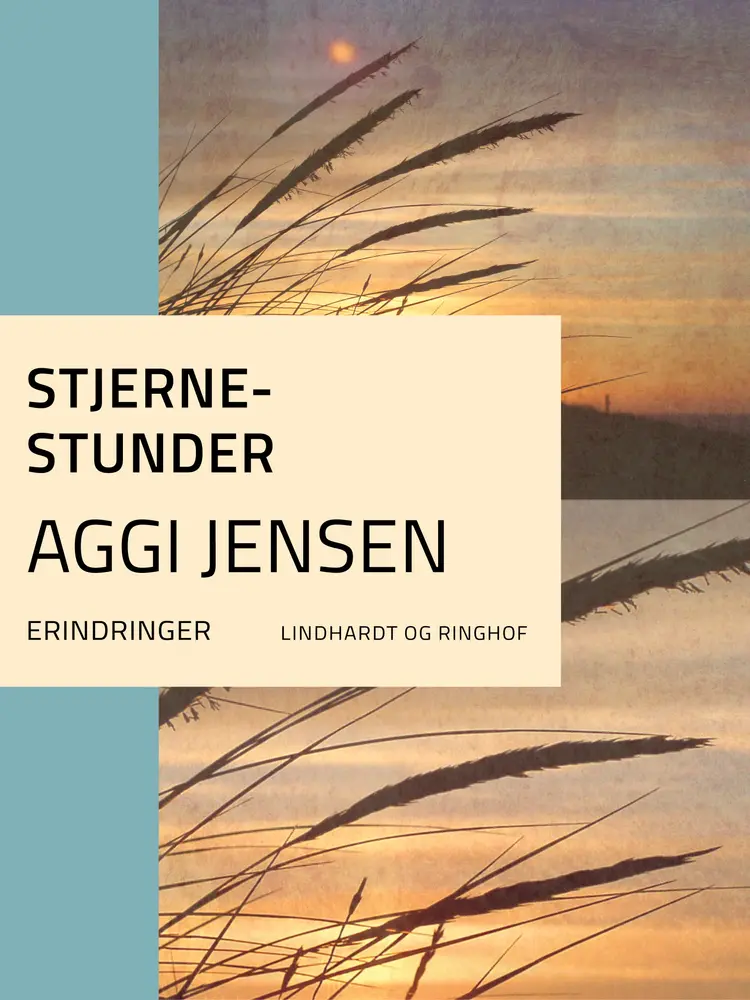 Stjernestunder af Aggi Jensen
