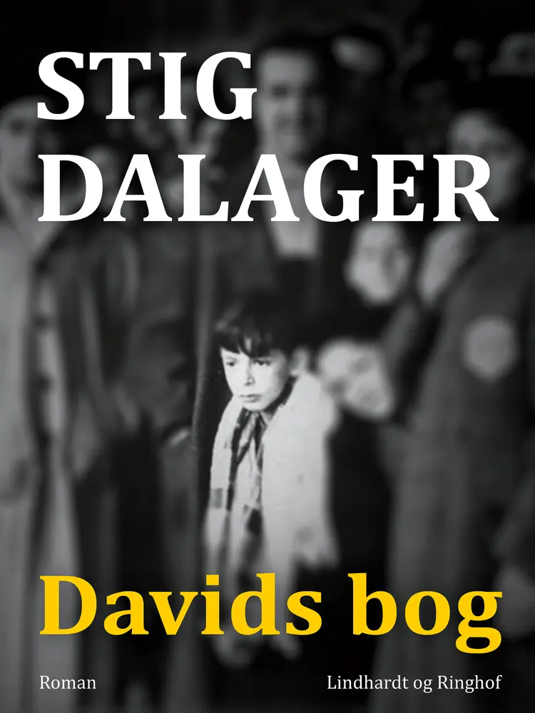 Davids bog af Stig Dalager