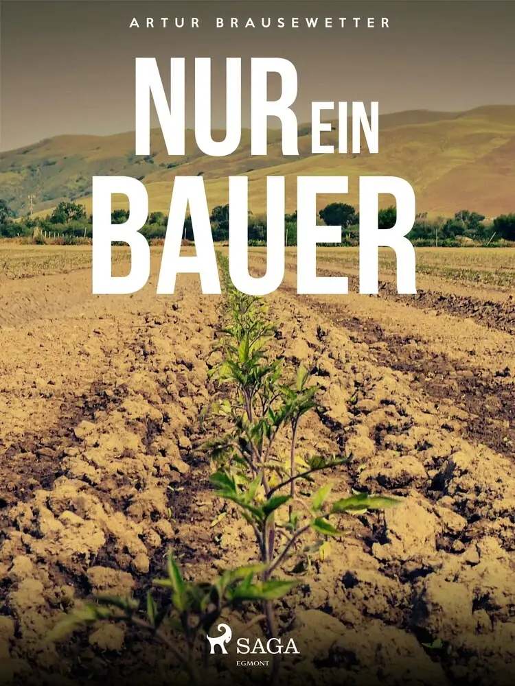 Nur ein Bauer af Artur Brausewetter