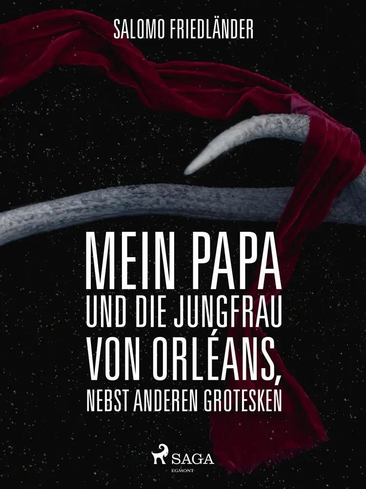 Mein Papa und die Jungfrau von Orléans af Salomo Friedländer