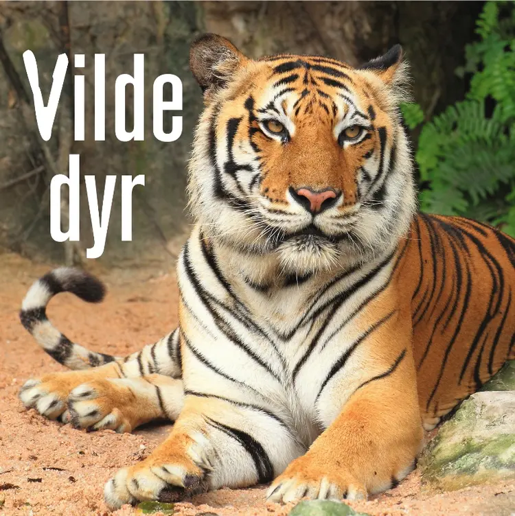 Vilde dyr