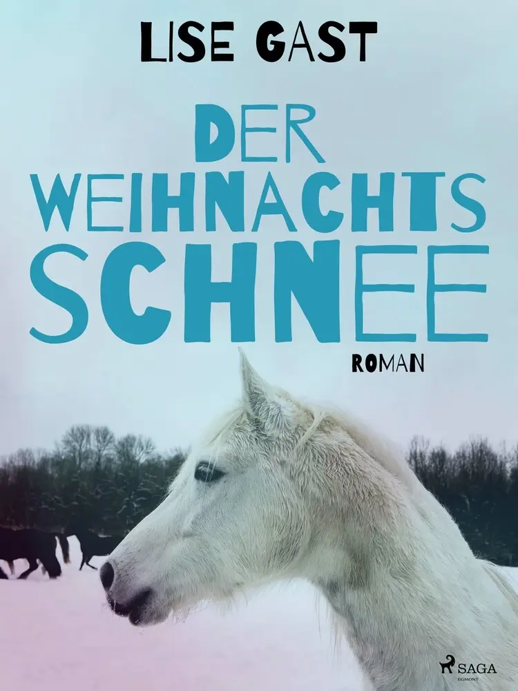 Der Weihnachtsschnee af Lise Gast