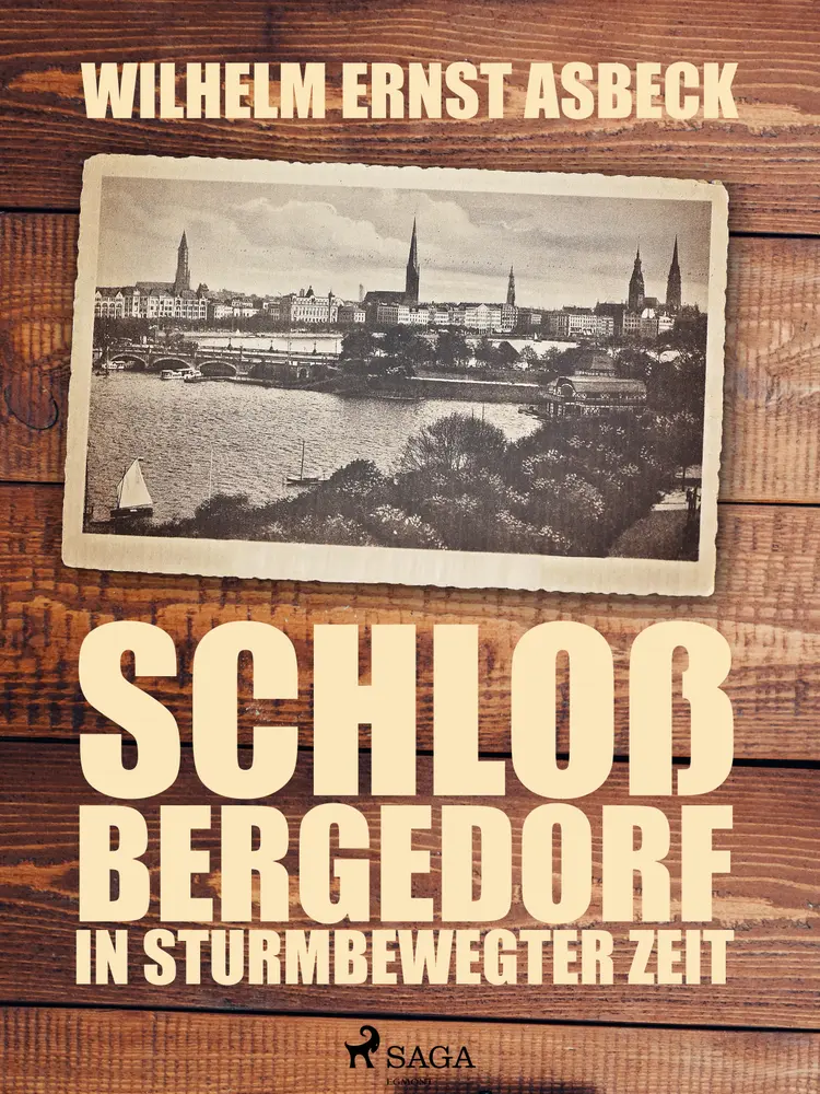 Schloss Bergedorf in sturmbewegter Zeit af Wilhelm Ernst Asbeck