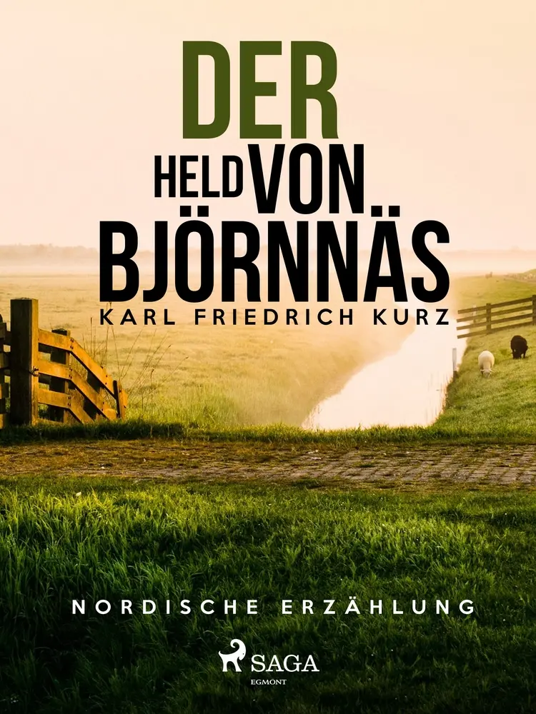 Der Held von Björnnäs. Nordische Erzählung af Karl Friedrich Kurz