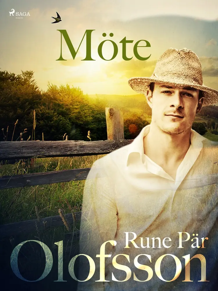Möte af Rune Pär Olofsson
