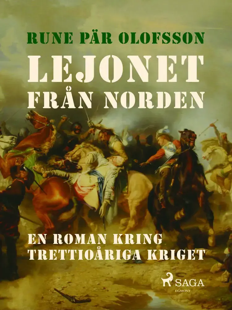Lejonet från Norden : en roman kring Trettioåriga kriget af Rune Pär Olofsson