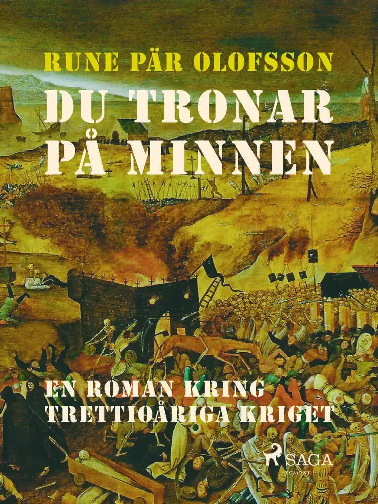 Du tronar på minnen : en roman kring Trettioåriga kriget af Rune Pär Olofsson