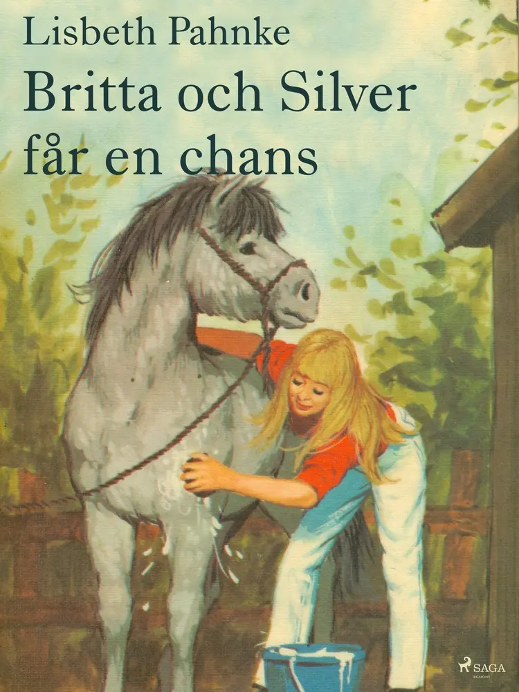 Britta och Silver får en chans af Lisbeth Pahnke