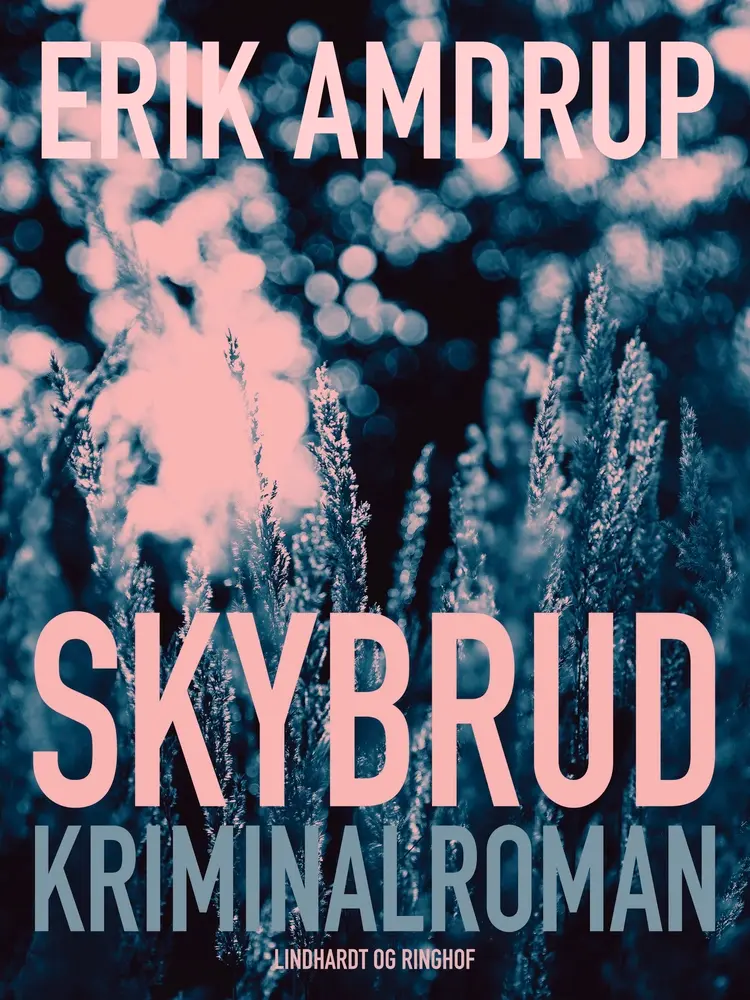 Skybrud af Erik Amdrup