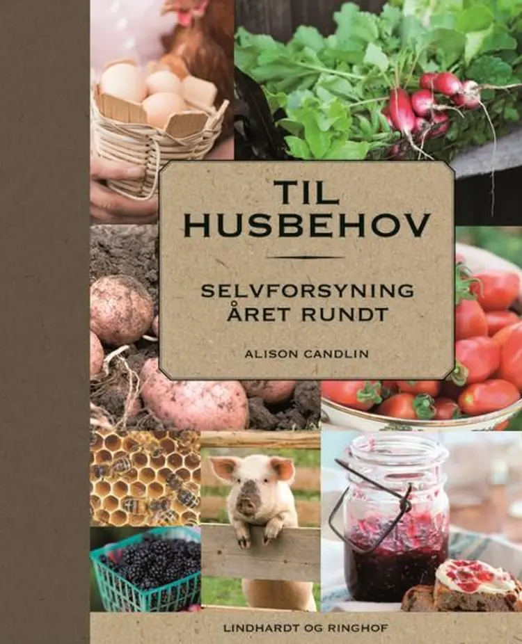 Til husbehov af Alison Candlin
