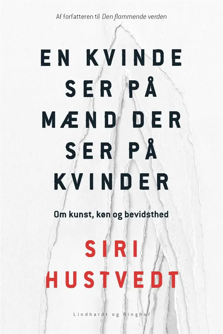 En kvinde ser på mænd der ser på kvinder af Siri Hustvedt
