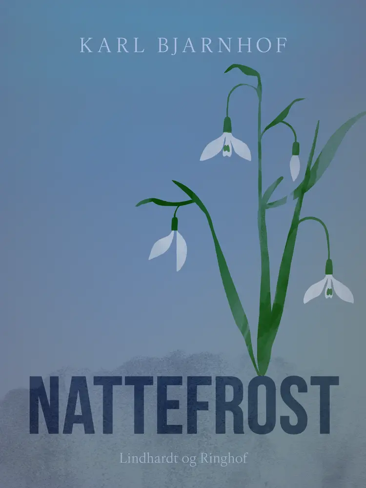 Nattefrost af Karl Bjarnhof