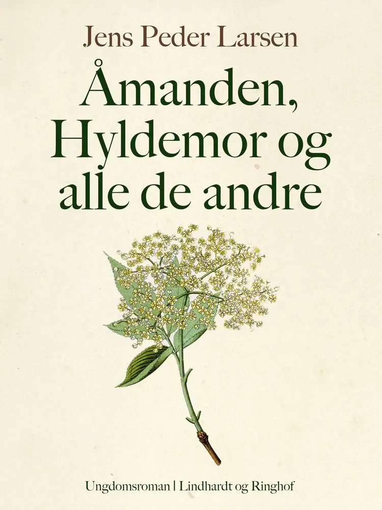 Åmanden, Hyldemor og alle de andre af Jens Peder Larsen