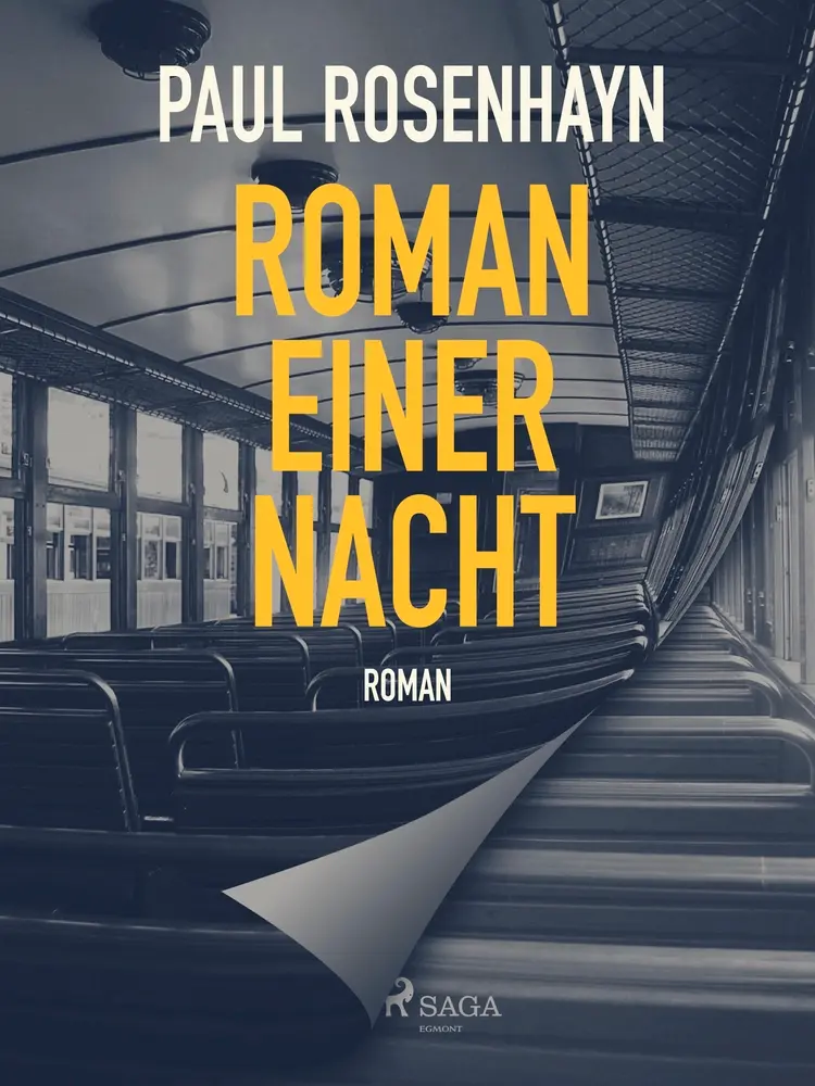 Roman einer Nacht af Paul Rosenhayn
