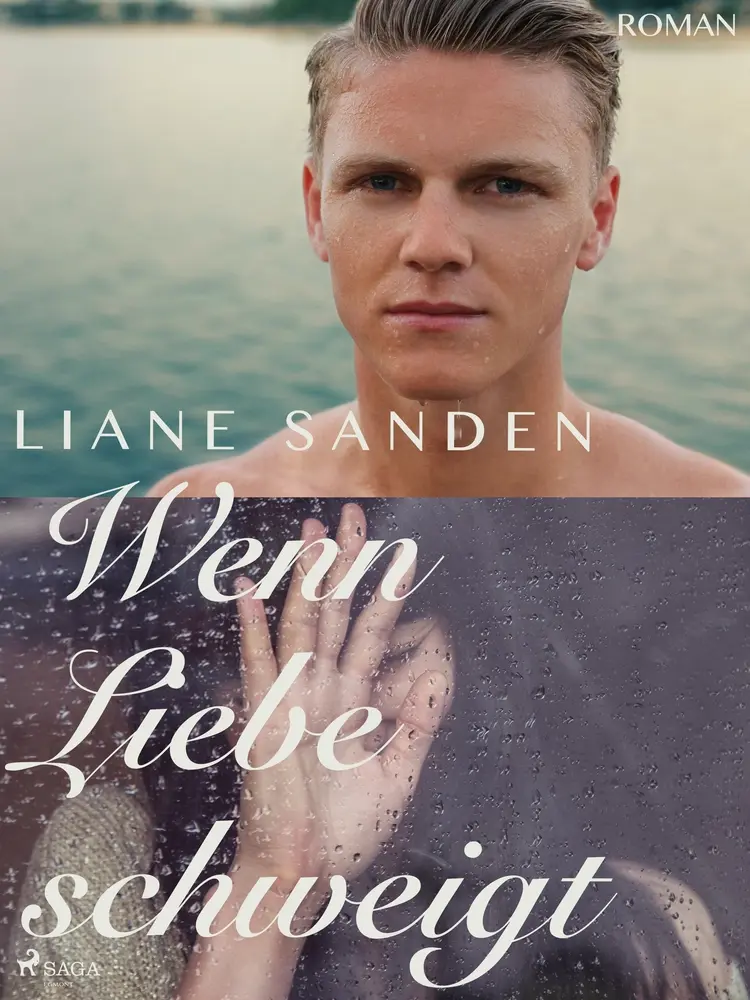 Wenn Liebe schweigt af Liane Sanden