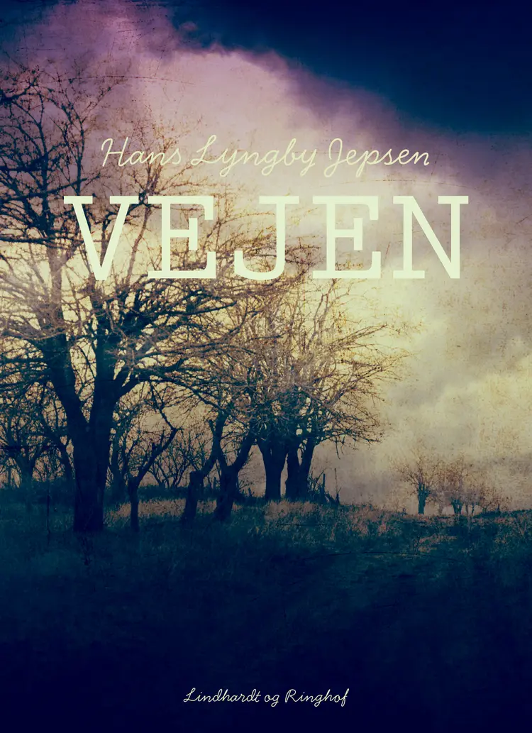 Vejen af Hans Lyngby Jepsen