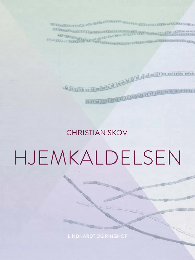 Hjemkaldelsen af Christian Skov