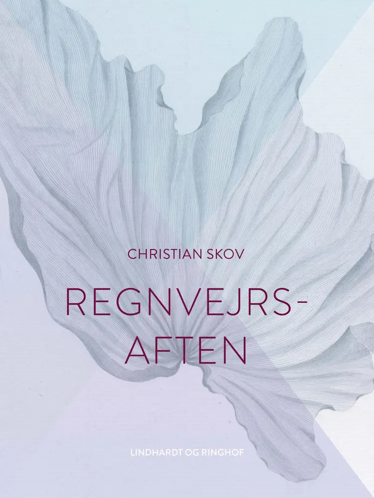 Regnvejrsaften af Christian Skov